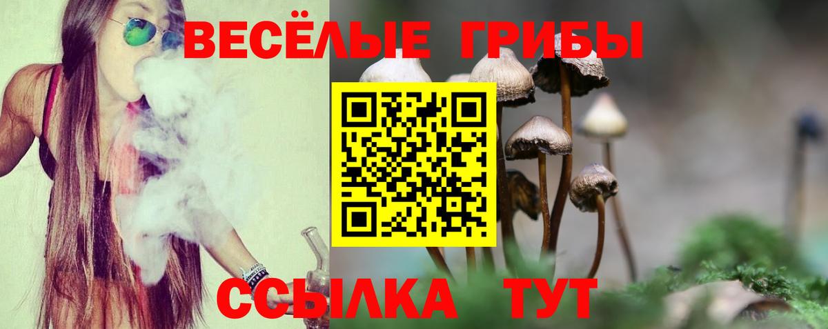 Галлюциногенные грибы мухоморы Карталы